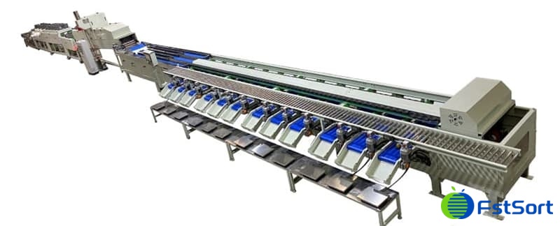 clasificadora de aguacate clasificadora de aguacate